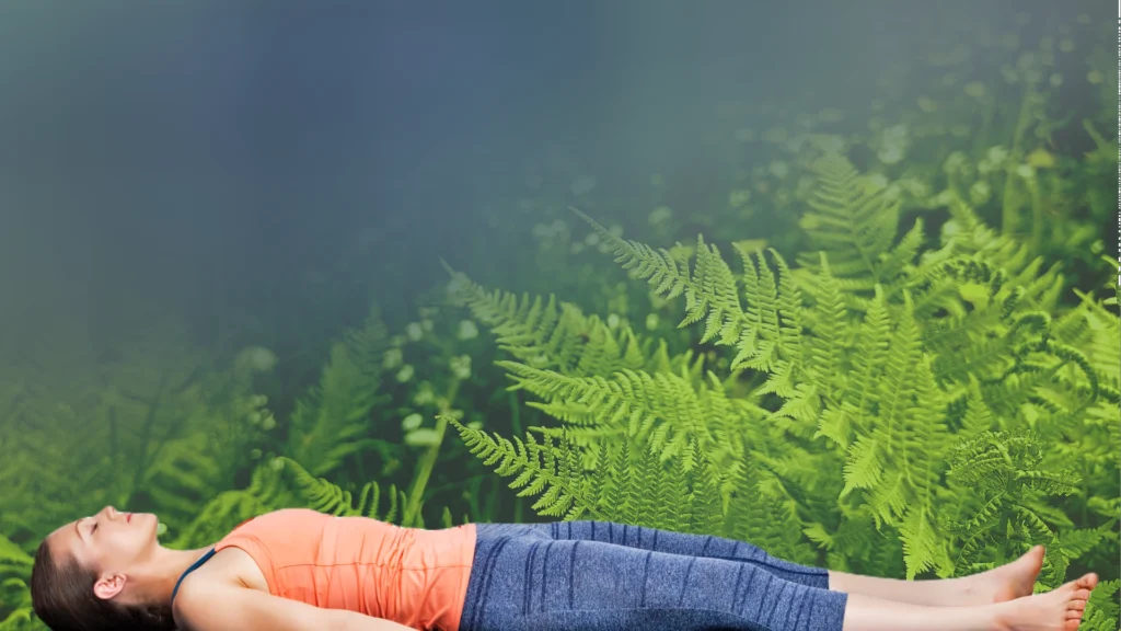 cover image of a positive concentration session Cover Image of a Positive Concentration Session